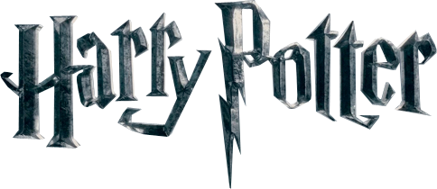 Organiser un anniversaire Harry Potter